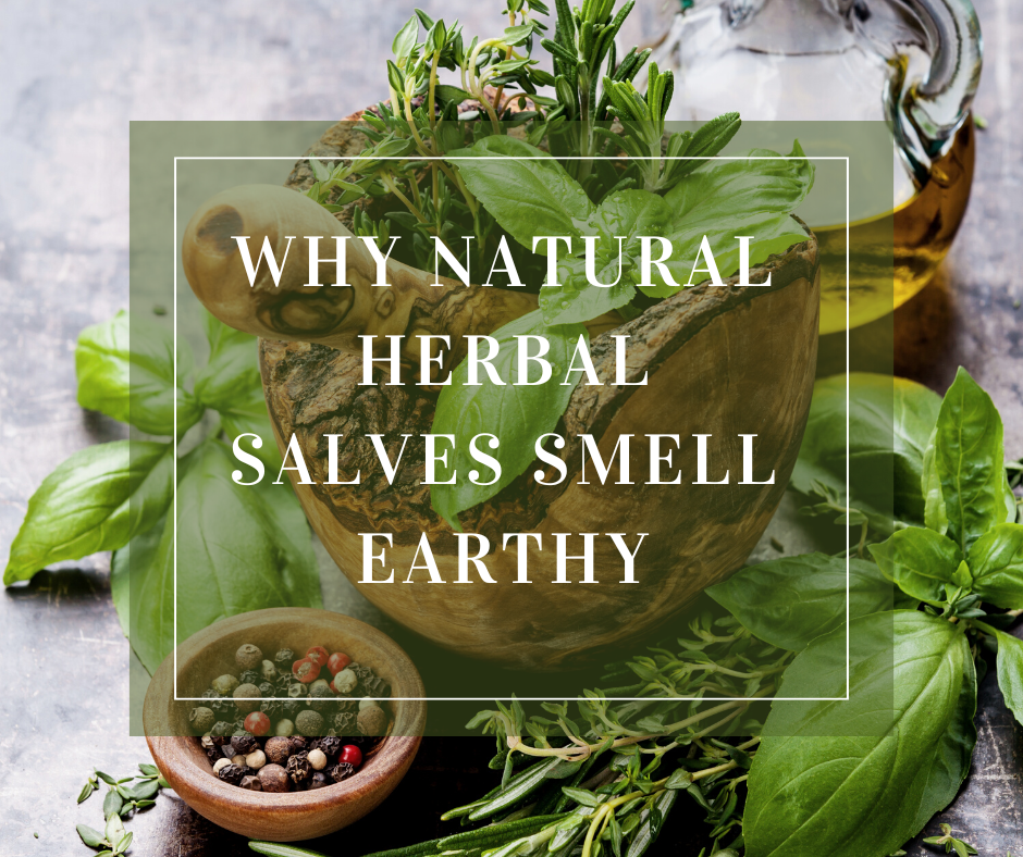 herb on a rustic background why natural herbal salves smell earthy