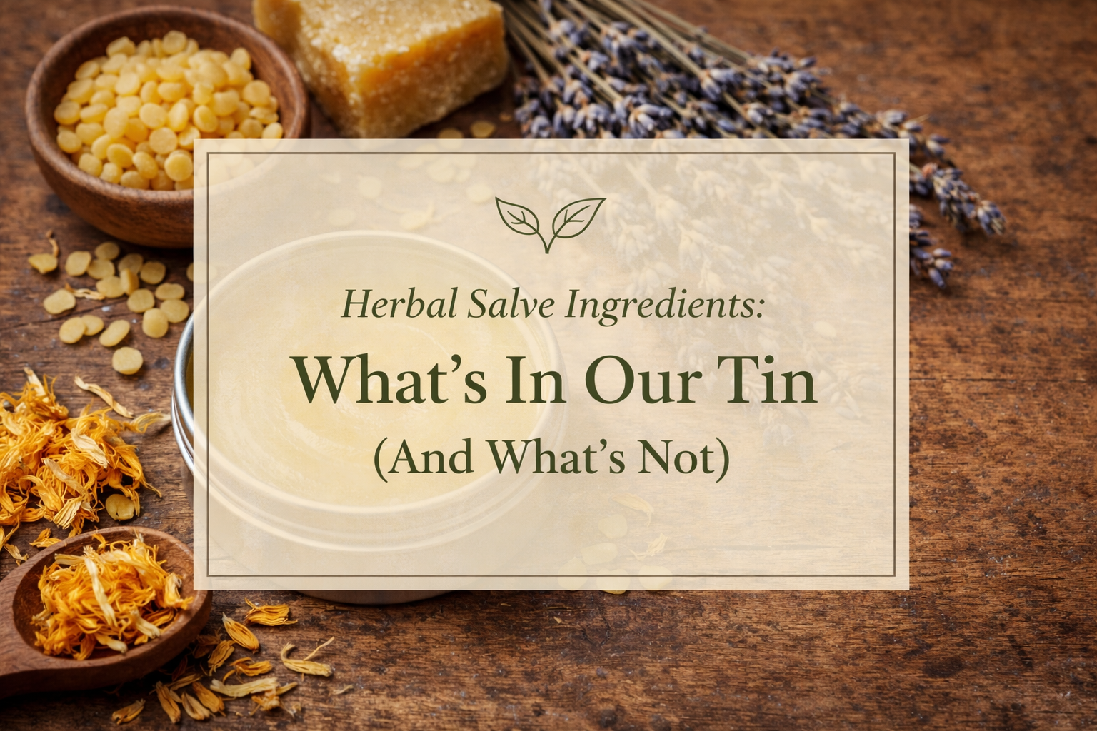 What’s In Our Tin and What’s Not