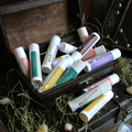 Collection of lip balms in a wooden box with natural elements around.