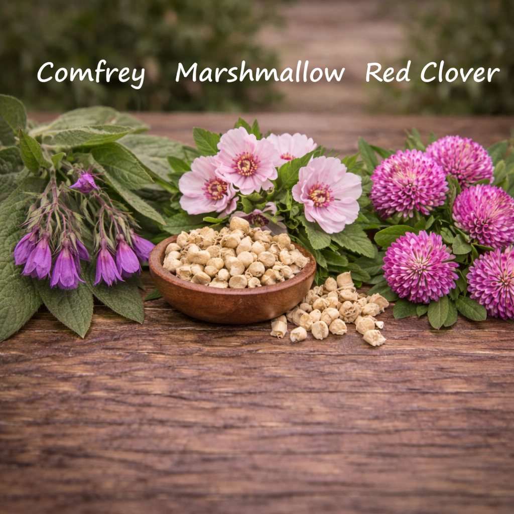 Herbs including Comfrey, Marshmallow, and Red Clover on a wooden surface.